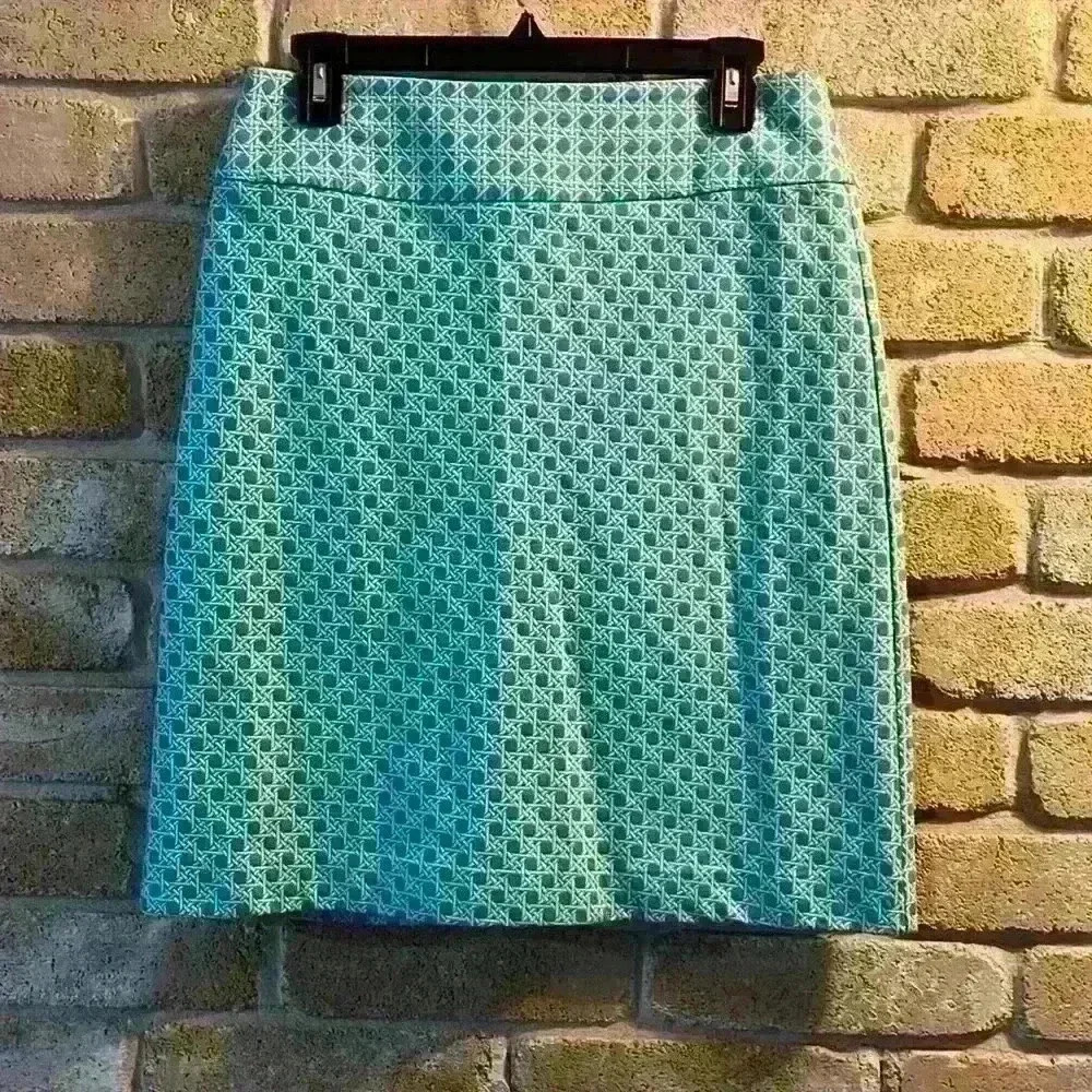 Talbots Midi Skirt